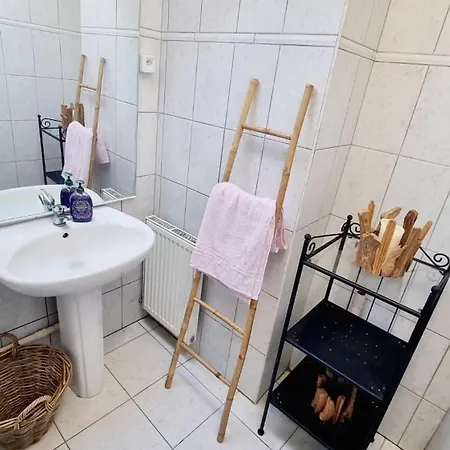 Duplex Avec Terrasse - Quartier Prisé Mulhouse