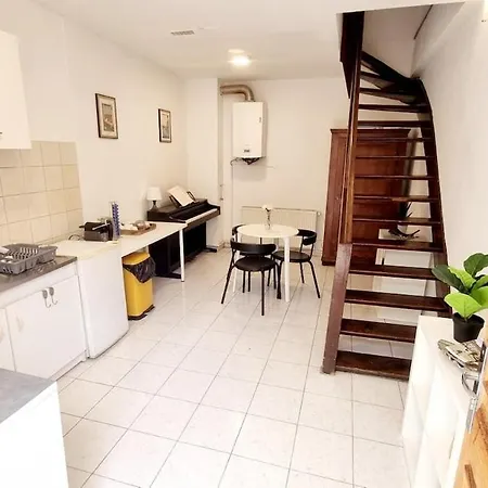 Apartament Duplex Avec Terrasse - Quartier Prise Miluza